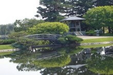 726973_japanese_rock_garden