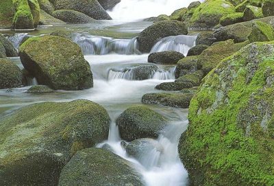 fengshui-001_12991_494942